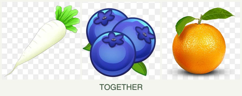 Can you plant radishes, blueberries and oranges together?