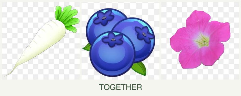 Can you plant radishes, blueberries and petunias together?