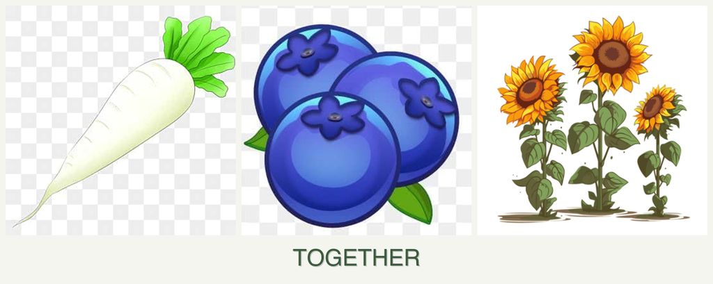 Can you plant radishes, blueberries and sunflowers together?