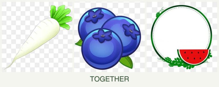 Can you plant radishes, blueberries and watermelons together?