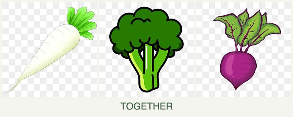 Can you plant radishes, broccoli and beets together?
