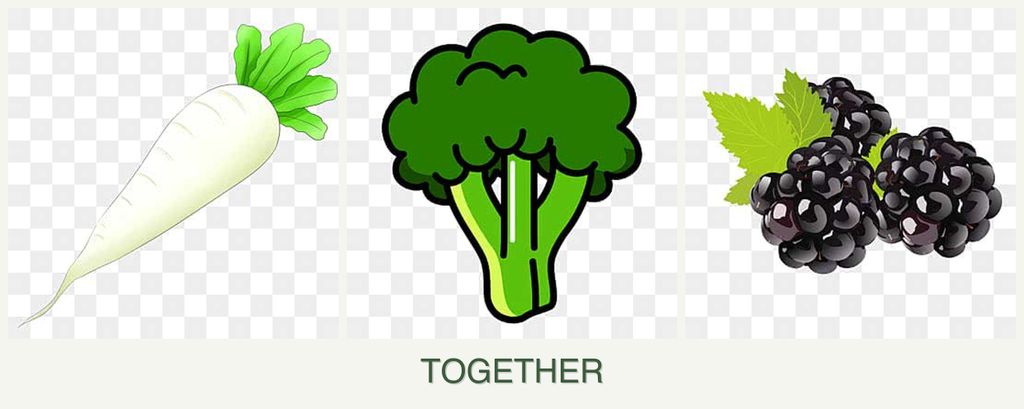 Can you plant radishes, broccoli and blackberries together?