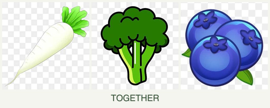 Can you plant radishes, broccoli and blueberries together?