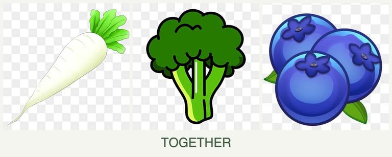 Can you plant radishes, broccoli and blueberries together?