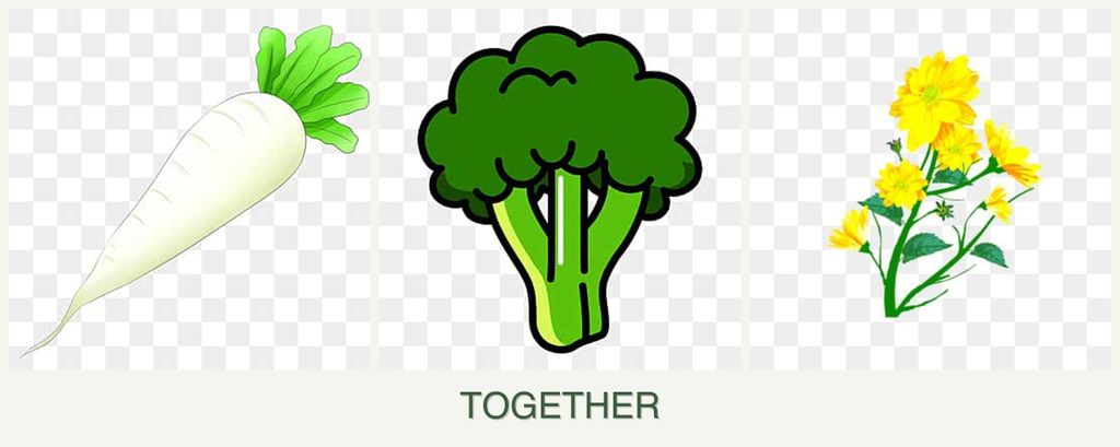 Can you plant radishes, broccoli and calendula together?