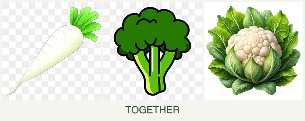 Can you plant radishes, broccoli and cauliflower together?