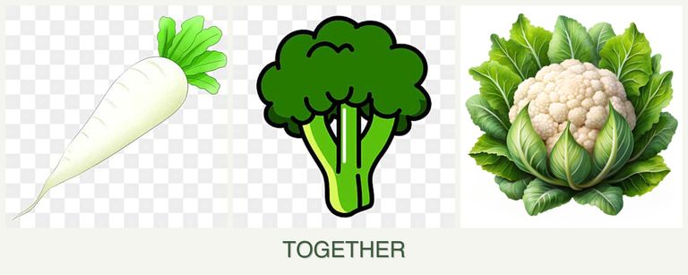 Can you plant radishes, broccoli and cauliflower together?