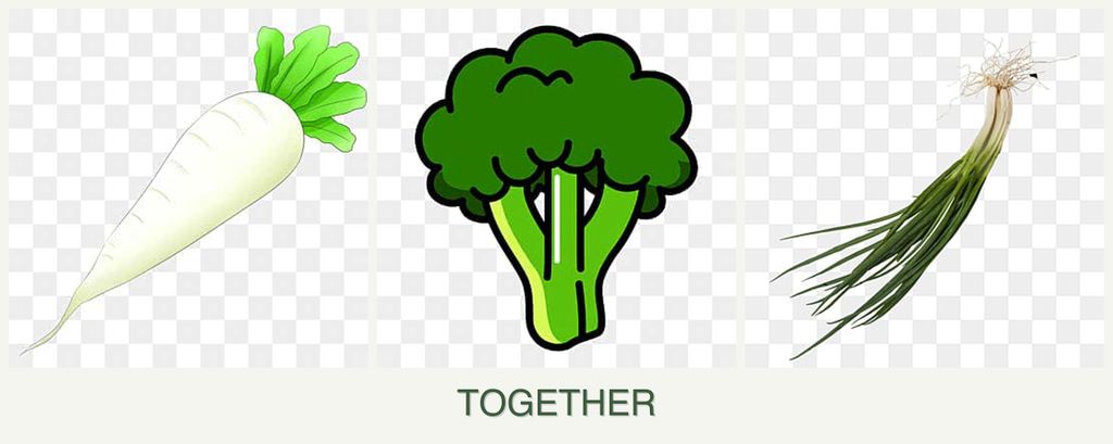 Can you plant radishes, broccoli and chives together?