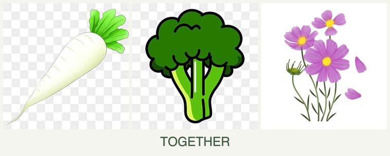 Can you plant radishes, broccoli and cosmos together?