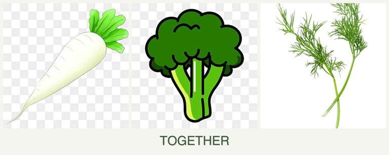 Can you plant radishes, broccoli and dill together?