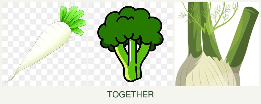 Can you plant radishes, broccoli and fennel together?