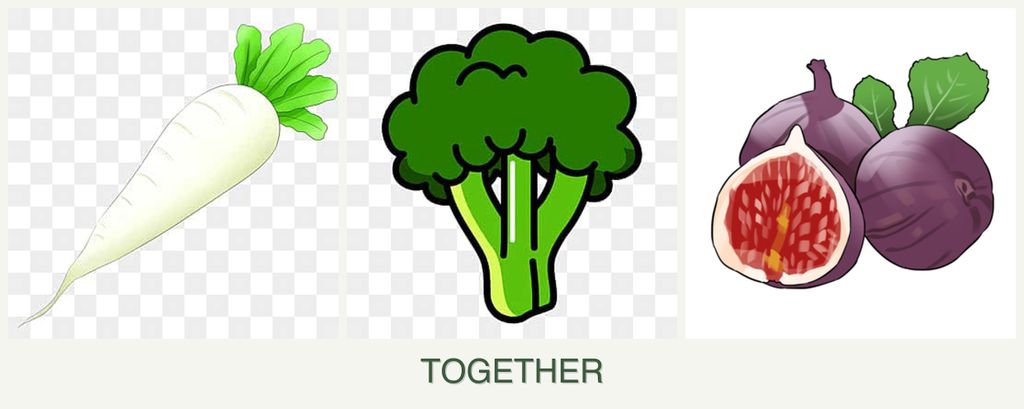 Can you plant radishes, broccoli and figs together?