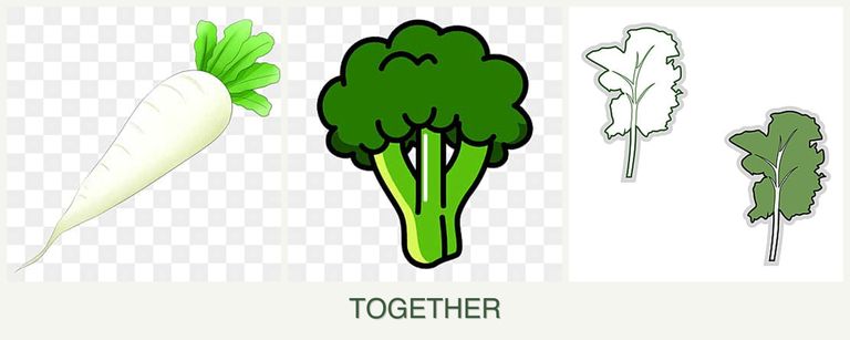 Can you plant radishes, broccoli and kale together?