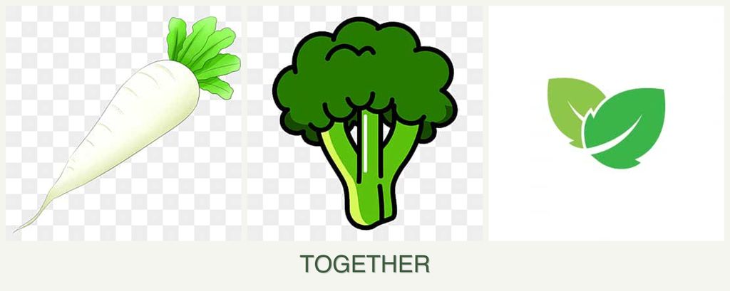 Can you plant radishes, broccoli and mint together?