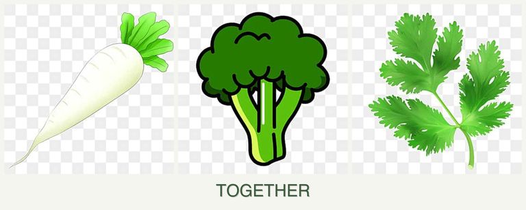 Can you plant radishes, broccoli and parsley together?