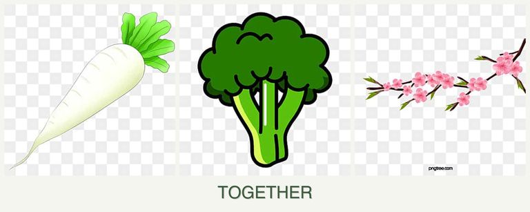 Can you plant radishes, broccoli and peaches together?