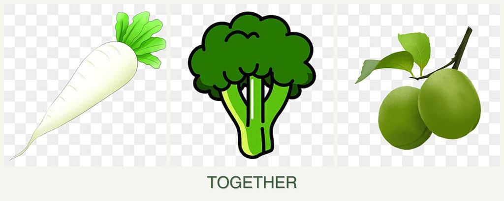 Can you plant radishes, broccoli and plums together?