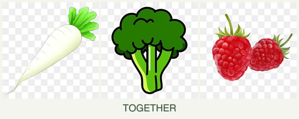 Can you plant radishes, broccoli and raspberries together?