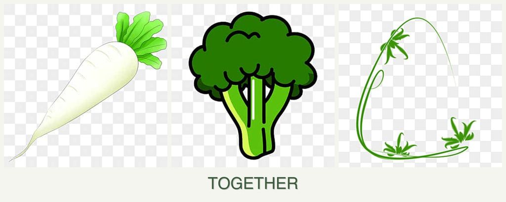 Can you plant radishes, broccoli and tarragon together?