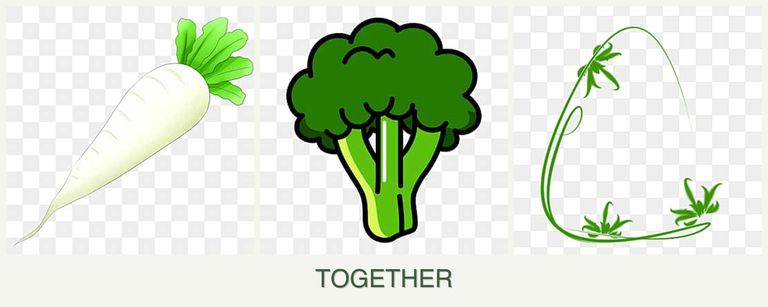 Can you plant radishes, broccoli and tarragon together?