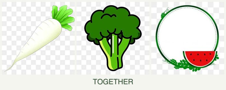Can you plant radishes, broccoli and watermelons together?