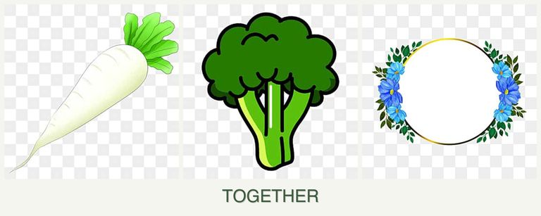 Can you plant radishes, broccoli and zinnias together?