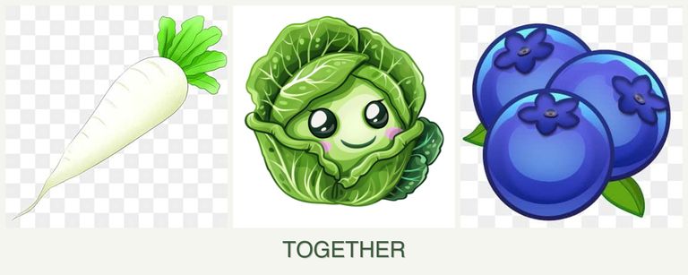 Can you plant radishes, cabbage and blueberries together?