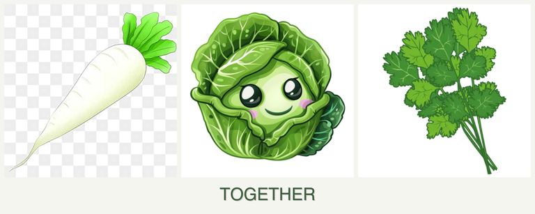 Can you plant radishes, cabbage and cilantro together?