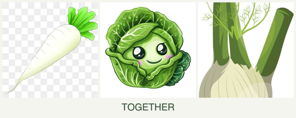 Can you plant radishes, cabbage and fennel together?
