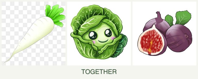 Can you plant radishes, cabbage and figs together?