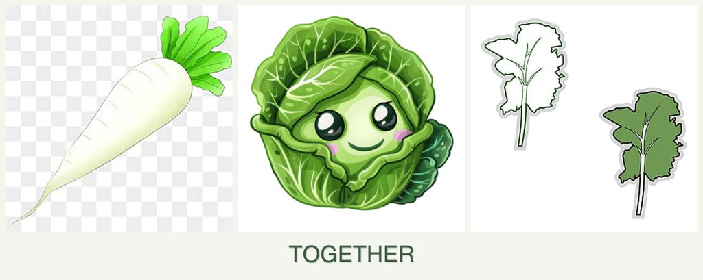 Can you plant radishes, cabbage and kale together?