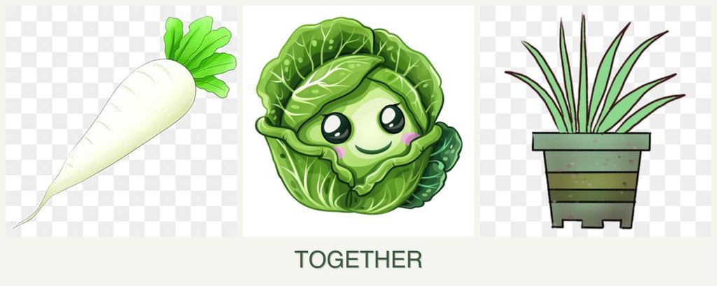 Can you plant radishes, cabbage and lemongrass together?