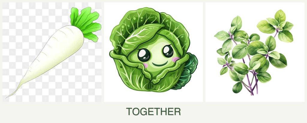 Can you plant radishes, cabbage and oregano together?