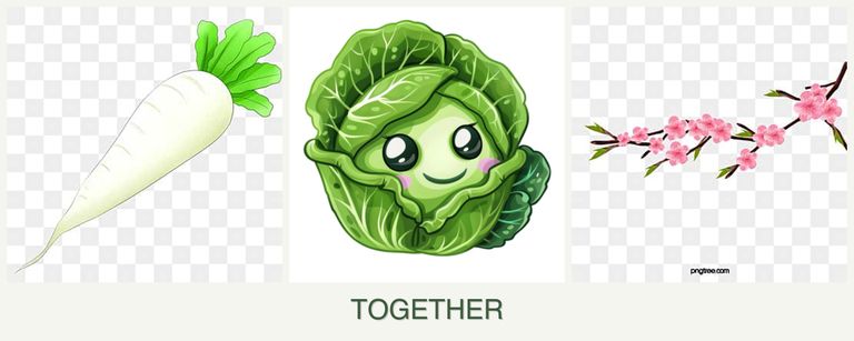 Can you plant radishes, cabbage and peaches together?