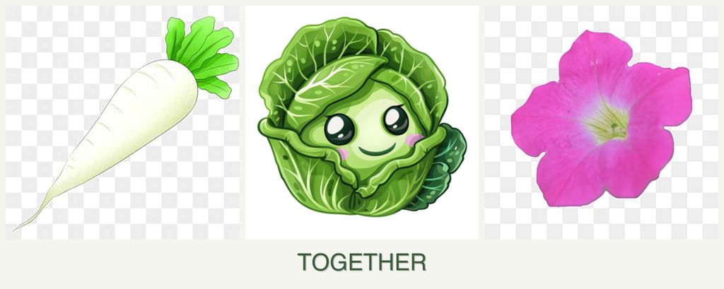 Can you plant radishes, cabbage and petunias together?
