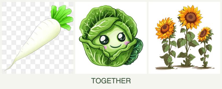 Can you plant radishes, cabbage and sunflowers together?