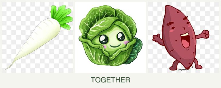 Can you plant radishes, cabbage and sweet potatoes together?