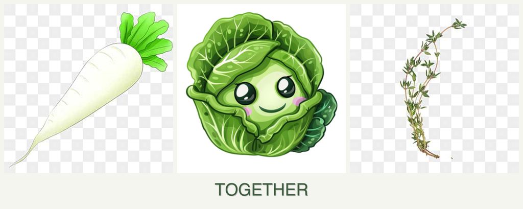 Can you plant radishes, cabbage and thyme together?