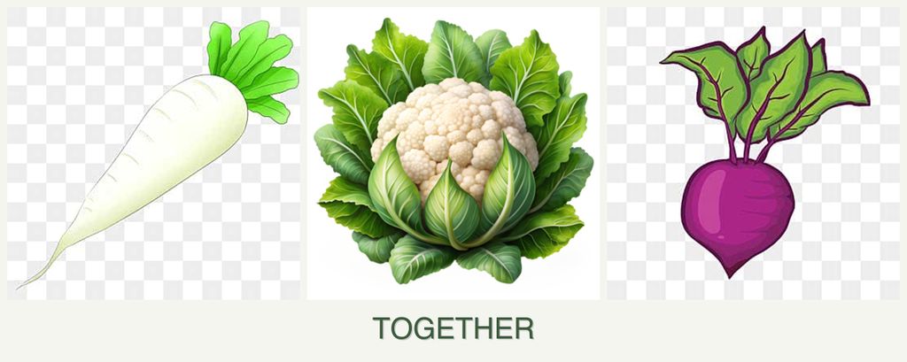 Can you plant radishes, cauliflower and beets together?