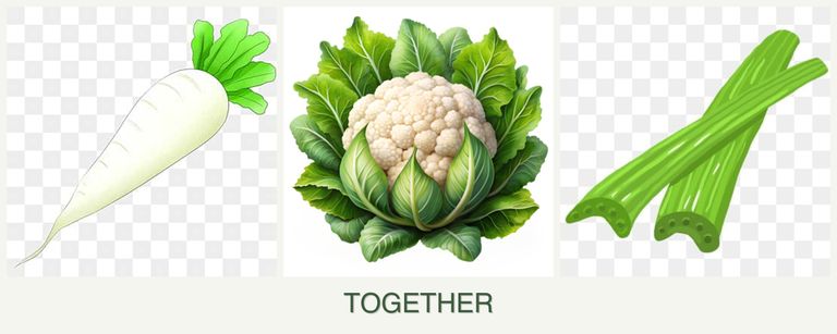 Can you plant radishes, cauliflower and celery together?