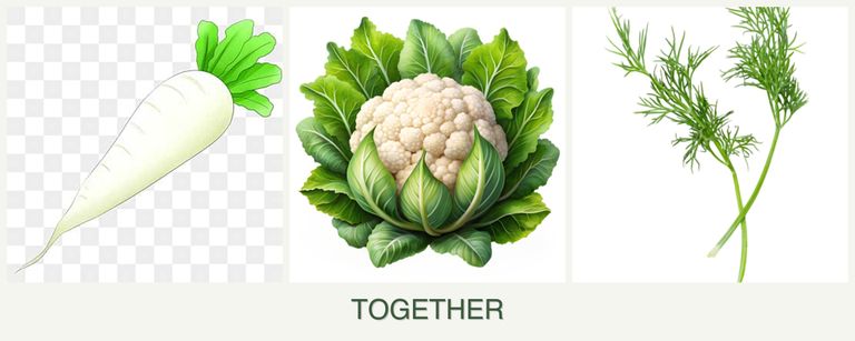 Can you plant radishes, cauliflower and dill together?