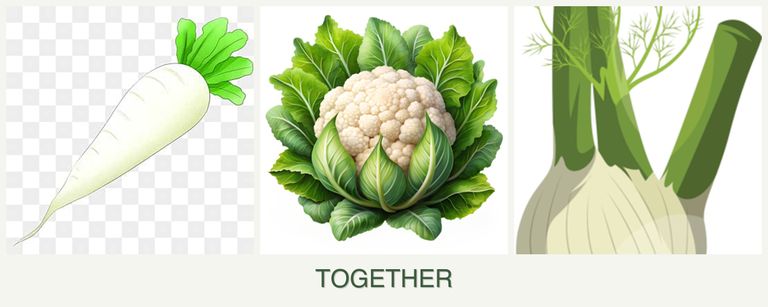 Can you plant radishes, cauliflower and fennel together?