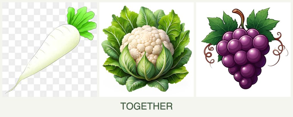 Can you plant radishes, cauliflower and grapes together?