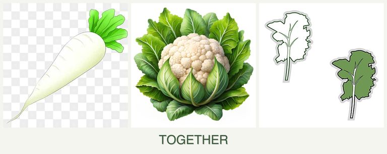 Can you plant radishes, cauliflower and kale together?