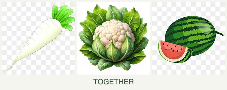 Can you plant radishes, cauliflower and melons together?