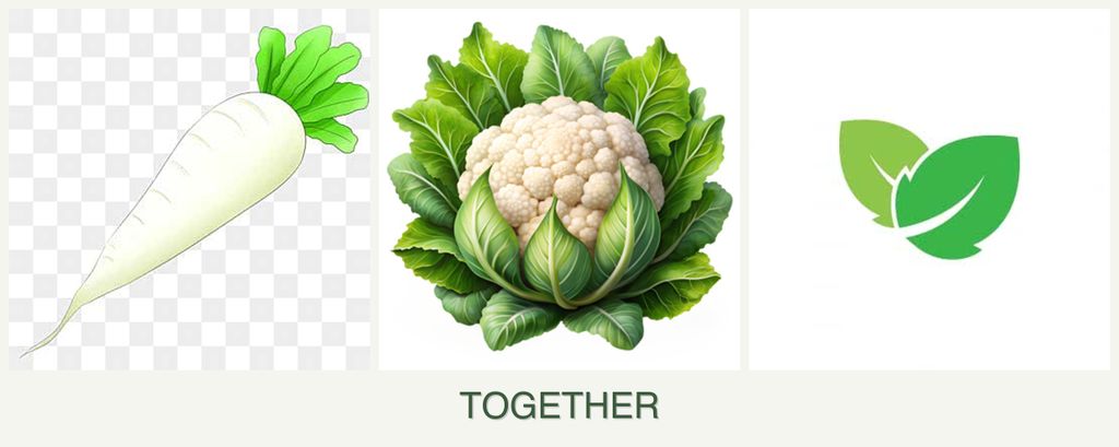 Can you plant radishes, cauliflower and mint together?