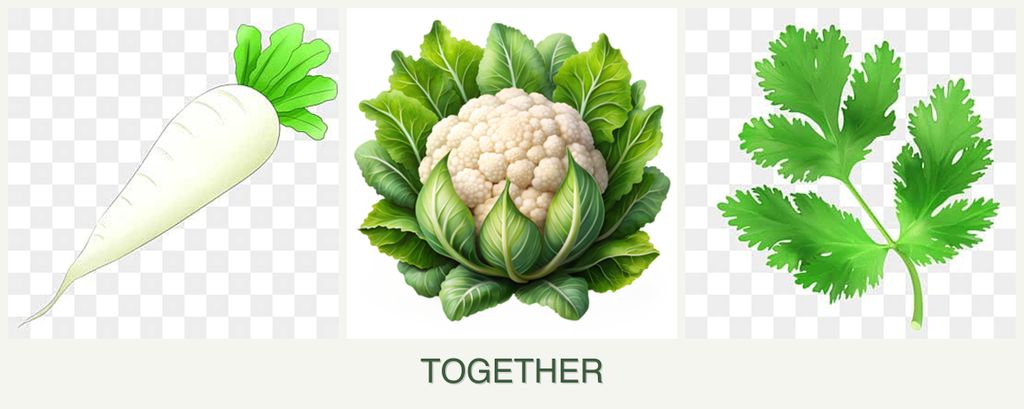 Can you plant radishes, cauliflower and parsley together?