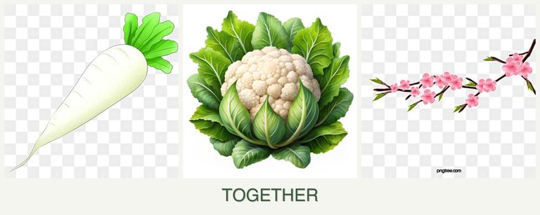 Can you plant radishes, cauliflower and peaches together?