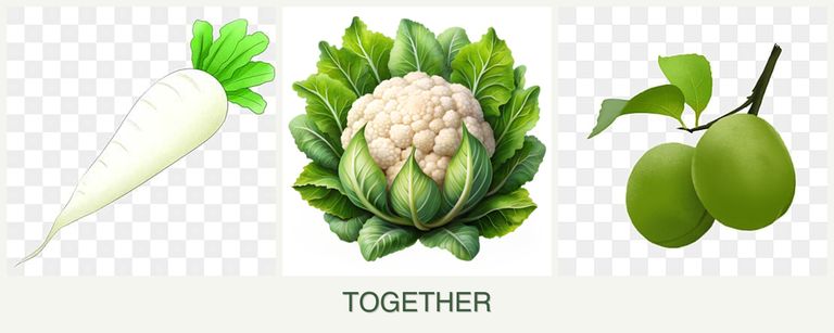 Can you plant radishes, cauliflower and plums together?