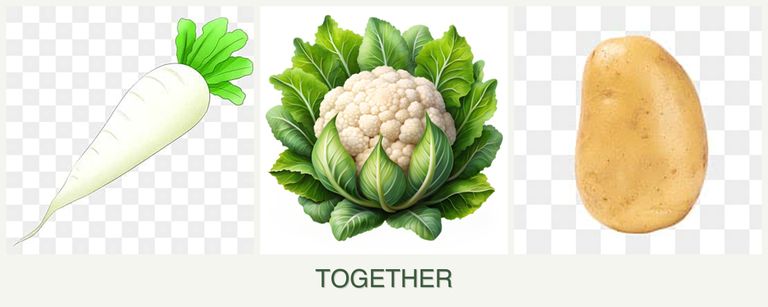 Can you plant radishes, cauliflower and potatoes together?